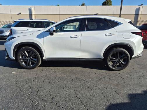 2024 Lexus NX 450h+ Luxury