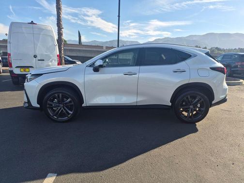 2024 Lexus NX 450h+ Luxury