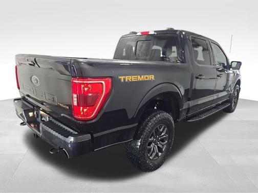 Agate Black Metallic 2023 Ford F-150 Tremor