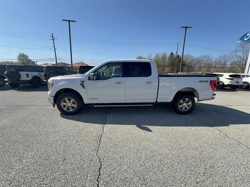 OXFORD WHITE 2023 Ford F-150 XLT