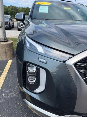 Rainforest 2022 Hyundai PALISADE Calligraphy