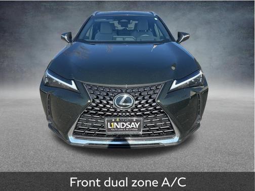 2025 Lexus UX 300h Premium