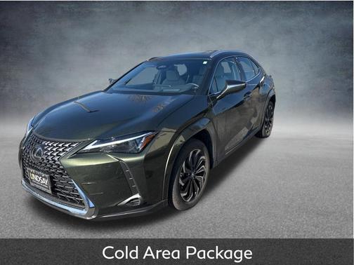 2025 Lexus UX 300h Premium