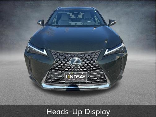 2025 Lexus UX 300h Premium