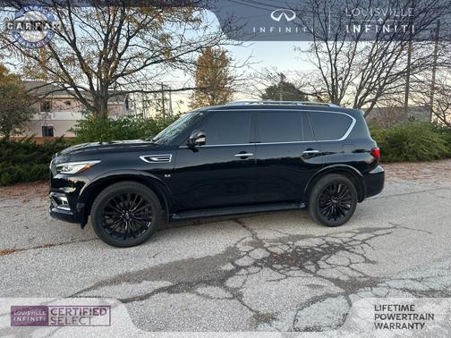 2019 INFINITI QX80 Luxe