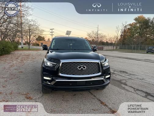 2019 INFINITI QX80 Luxe