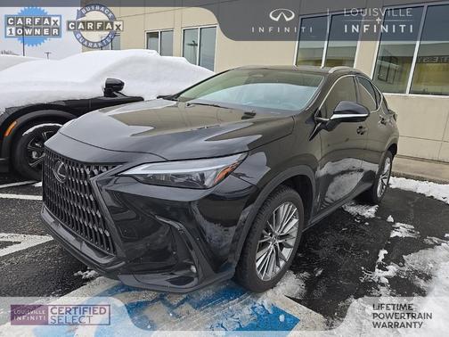 2023 Lexus NX 350 Premium