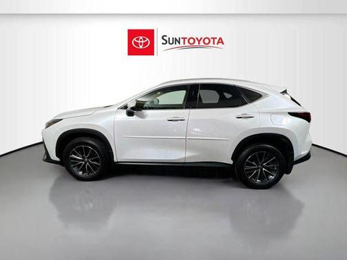 2025 Lexus NX 250 Premium