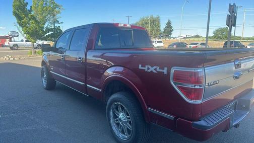 Ruby Red Metallic Tinted Clearcoat 2013 Ford F-150 Platinum