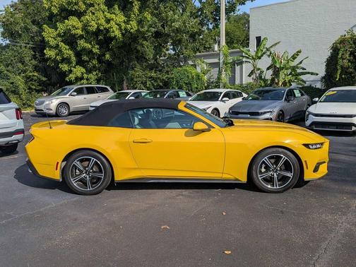 YELLOW SPLASH MET 2024 Ford Mustang EcoBoost Premium