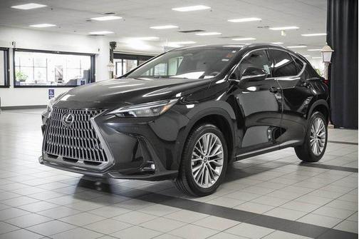 2024 Lexus NX 350h Luxury