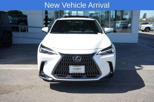 2024 Lexus NX 350 Premium