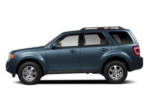 Green 2010 Ford Escape XLT