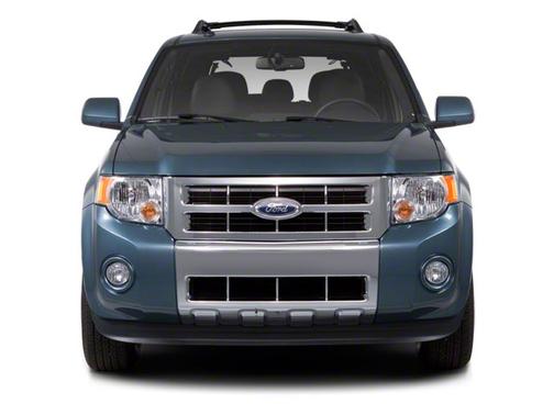 Green 2010 Ford Escape XLT