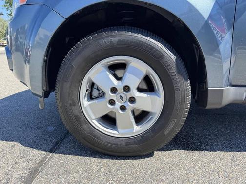 Green 2010 Ford Escape XLT