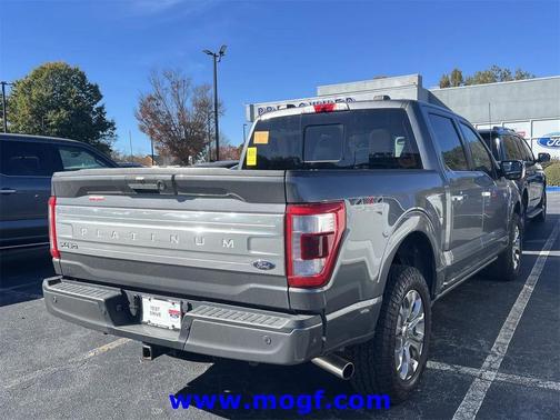 2022 Ford F-150 Platinum