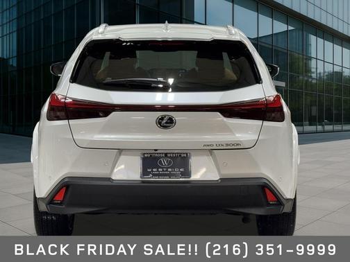 2025 Lexus UX 300h Premium