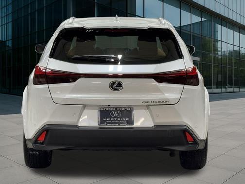 2025 Lexus UX 300h Premium