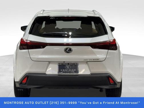 2025 Lexus UX 300h Premium