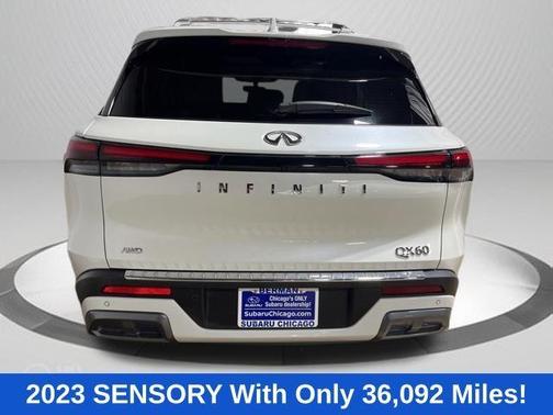 Majestic White 2023 INFINITI QX60 SENSORY