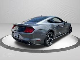 Gray Metallic 2023 Ford Mustang EcoBoost
