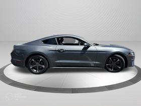 Gray Metallic 2023 Ford Mustang EcoBoost