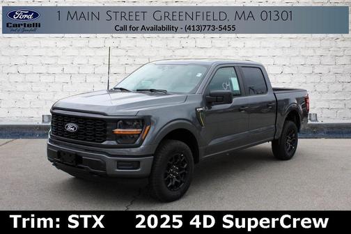 2025 Ford F-150 STX