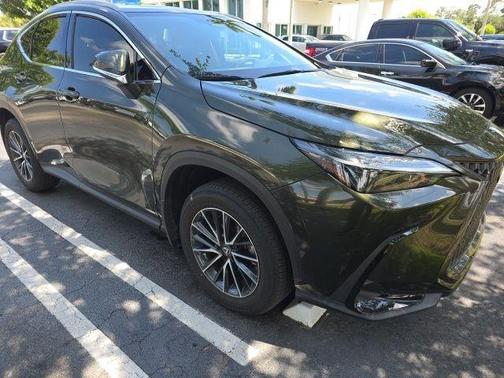 Green 2025 Lexus NX 250 Base