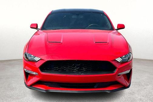 RACE RED 2019 Ford Mustang EcoBoost