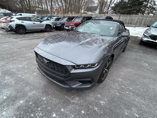 2024 Ford Mustang EcoBoost Premium