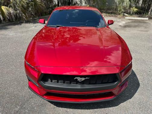 Red Metallic 2024 Ford Mustang EcoBoost Premium