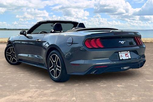 Magnetic 2019 Ford Mustang EcoBoost Premium