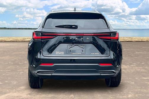 Caviar 2024 Lexus NX 250 Premium