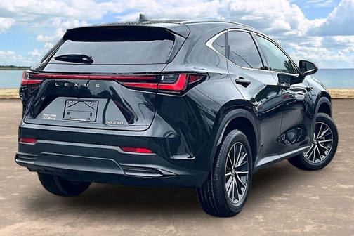 Caviar 2024 Lexus NX 250 Premium