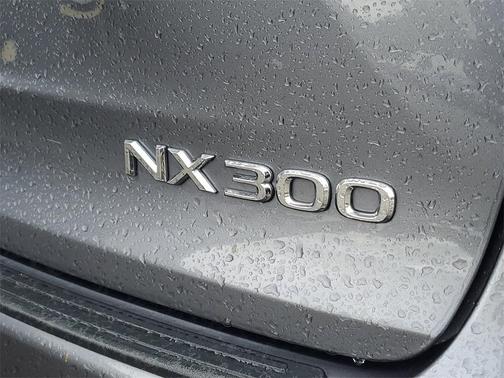2021 Lexus NX 300 F Sport
