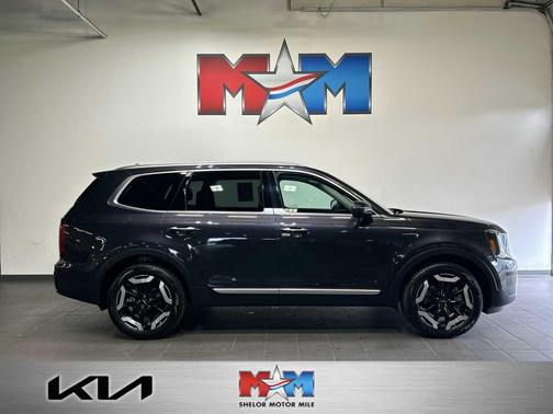 Panthera Metal 2025 Kia Telluride S
