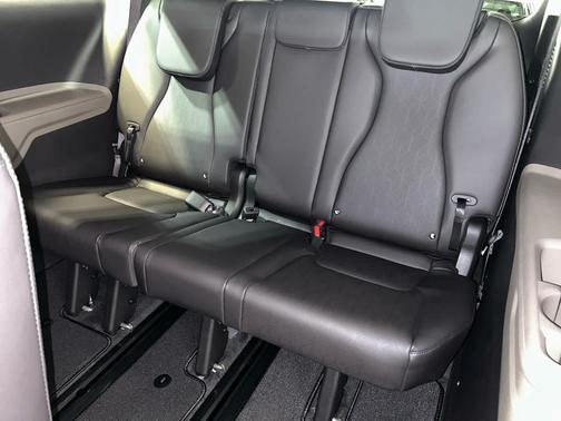 Panthera Metal 2026 Kia Carnival LXS