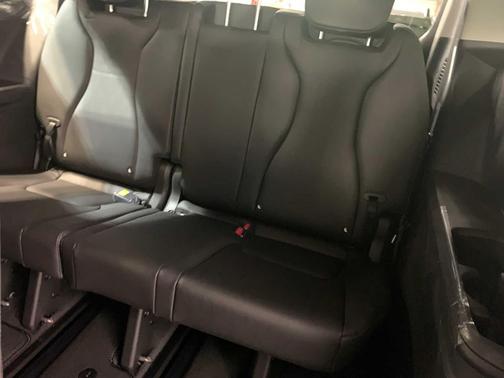 Panthera Metal 2026 Kia Carnival SX