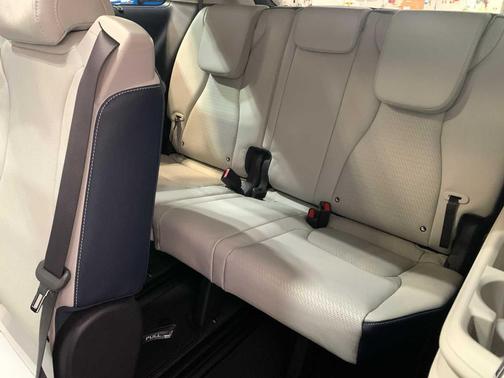 Panthera Metal 2026 Kia Carnival Hybrid SX Prestige