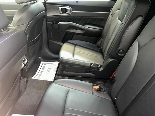 ROAD RUNNER BRO 2026 Kia Sorento SX