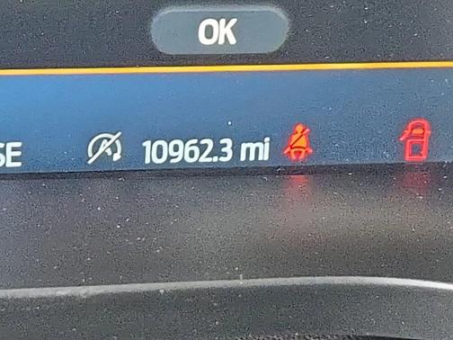 White 2025 Ford F-150 Raptor