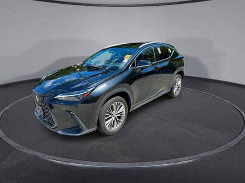 2022 Lexus NX 350 Premium