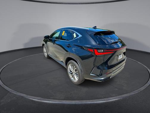2022 Lexus NX 350 Premium