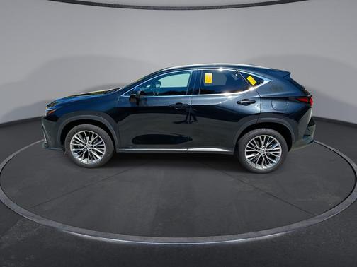2022 Lexus NX 350 Premium