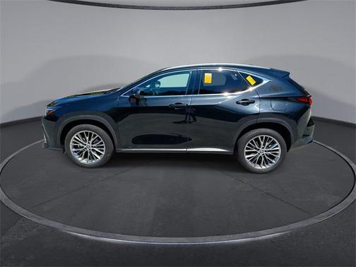2022 Lexus NX 350 Premium