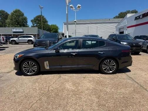 Panthera Metal 2019 Kia Stinger Base AWD