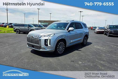 Typhoon Silver 2023 Hyundai PALISADE Calligraphy
