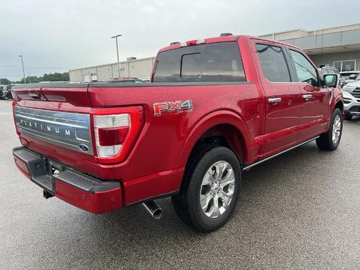 2021 Ford F-150 PLATINUM