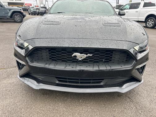 2019 Ford Mustang EcoBoost