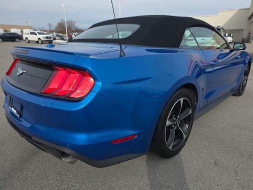 Blue Metallic 2020 Ford Mustang EcoBoost